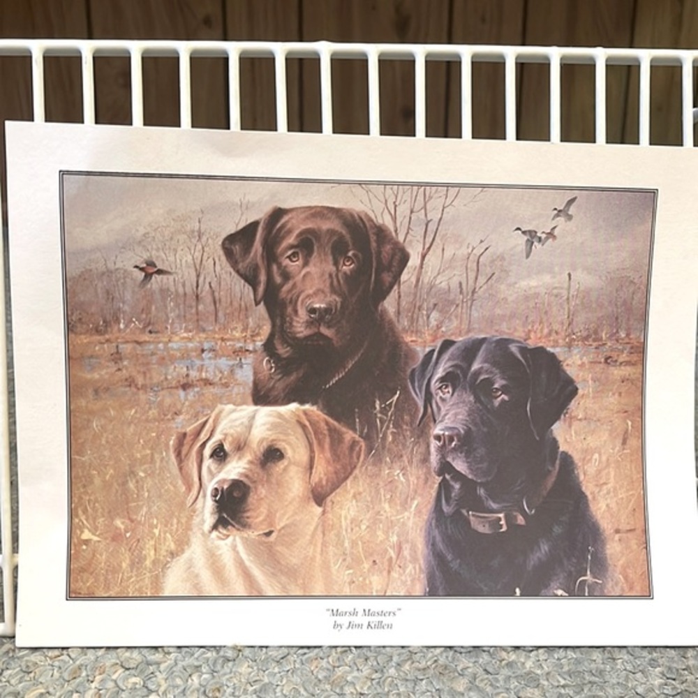 Retriever’s “Marsh Masters”